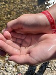 IMG_2844