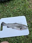 IMG_2852