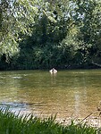 IMG_2867