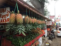 IMG_1996