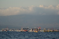 DSC06974
