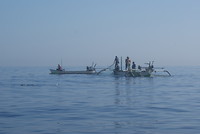 DSC07006