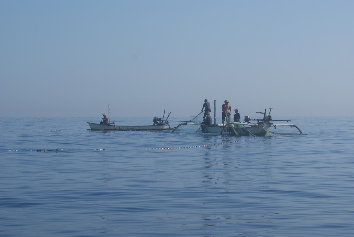 DSC07006