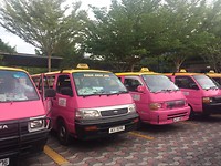 De roze taxi
