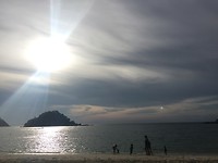 Coral beach