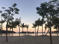 IMG_3165