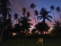IMG_3276