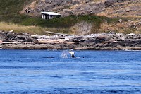 IMG_4206