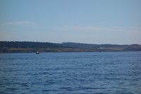 DSC01241