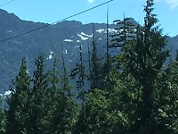 IMG_0342
