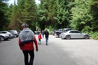 DSC01447