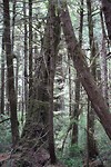 DSC01453
