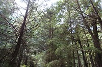 DSC01454