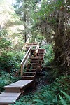 DSC01517