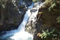 DSC01706