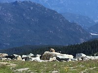 IMG_0413