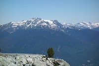 DSC01817