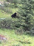 IMG_0546