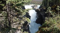 DSC02240