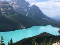 IMG_9641