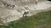DSC02357