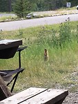 IMG_0672