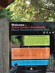 IMG_0695