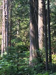 IMG_0696