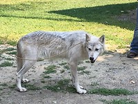 IMG_0710