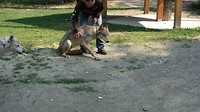 DSC02463