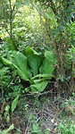 DSC02481