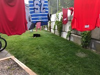 IMG_0730