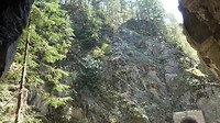 DSC02515