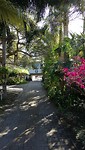 IMG_20190816_141327