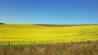 IMG_20190824_122821