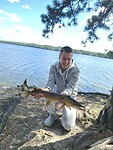 snoek