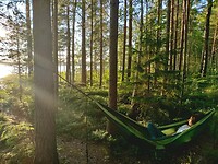 Camping Tiveden