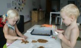 Freesiawoods - Koekjes maken