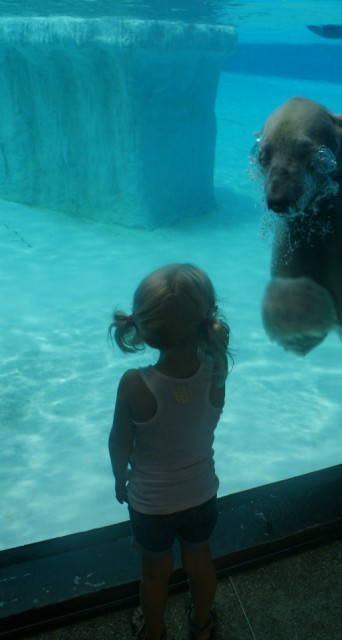 Singapore Zoo