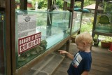Chinese and Japanese Gardens - Schildpadmuseum