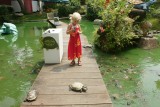 Chinese and Japanese Gardens - Schildpadmuseum
