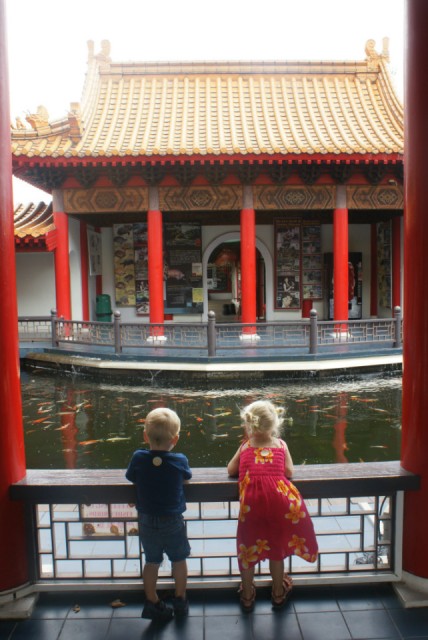 Chinese and Japanese Gardens - Vissen kijken