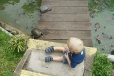 Chinese en Japanese Gardens - Schildpadmuseum
