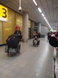 Schiphol - Aankomst Nederland