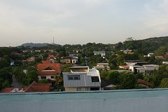 Freesiawoods - Uitzicht dakterras over Clementi
