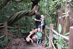 Bukit Timah Reserve