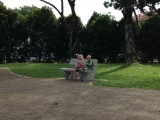 Clementie - Het park