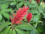 Botanic Gardens