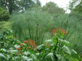 Botanic Gardens