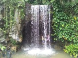 Botanic Gardens.